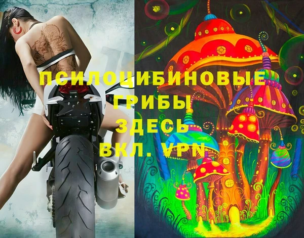 ГАЛЛЮЦИНОГЕННЫЕ ГРИБЫ Зерноград