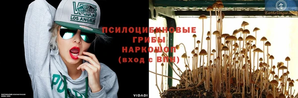 ГАЛЛЮЦИНОГЕННЫЕ ГРИБЫ Зерноград