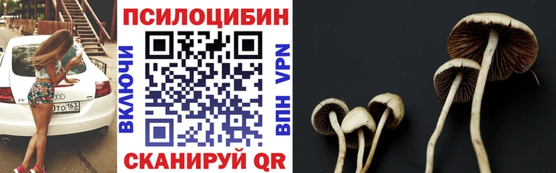 Купить где  Камешково  Псилоцибиновые грибы Psilocybine cubensis 